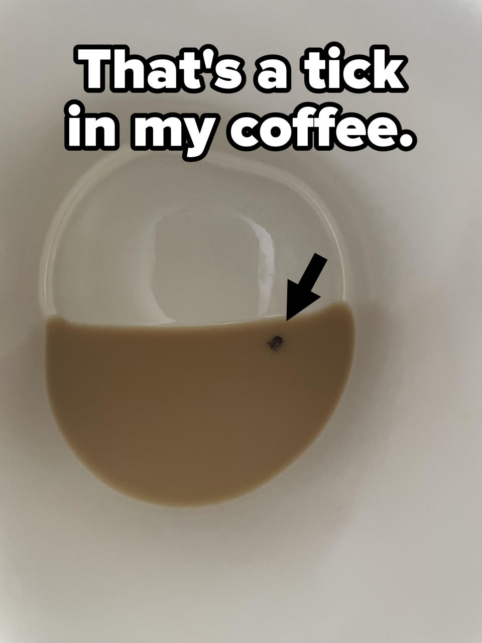 a tick in the coffee