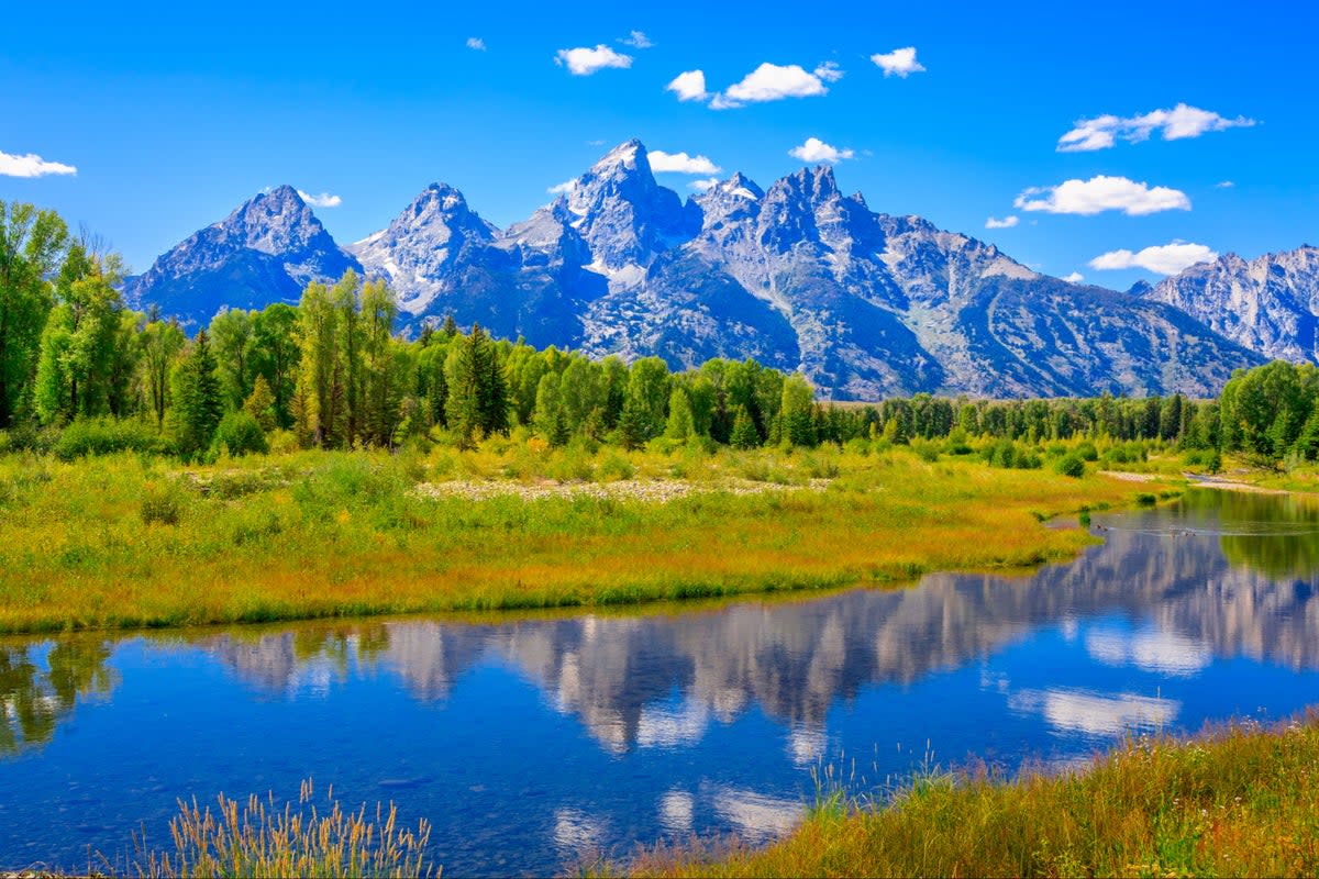 Grizzly bear attacks and seriously injures man in Wyoming’s Grand Teton National Park (Getty Images)