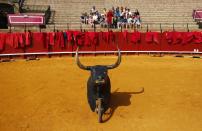 A group of tourists sit during a bullfight master class for schoolchildren at the Maestranza bullring in the Andalusian capital of Seville, southern Spain, April 23, 2014.