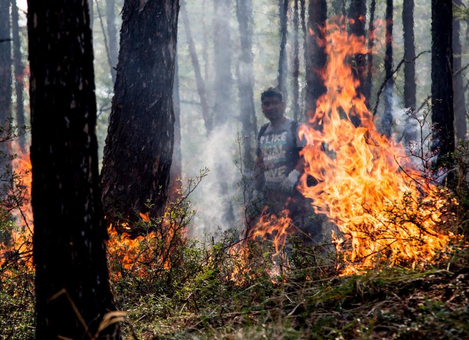 Feux de forêt en Sibérie, 28 juillet 2015 - Petr Shelomovskiy  (photo d'illustration) - PETR SHELOMOVSKIY