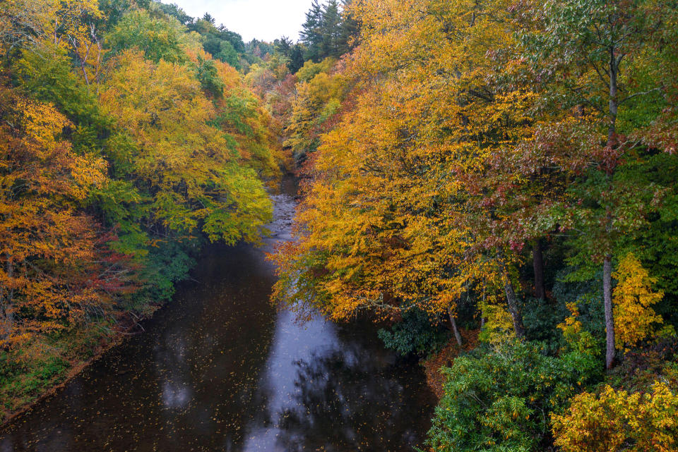 In this Oct. 19, 2013 photo provided by Grandfather Mountain changing leaves provide a frame for the Linville River above Linville Falls in Linville, N.C. While colors in the northern, higher elevations of South Carolina are still emerging, trees are exploding with color at the upper elevations in western North Carolina. (AP Photo/Grandfather Mountain, Skip Sickler)