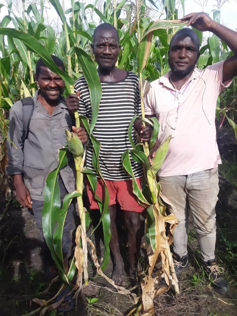 The HateLess farm in Malawi saw its first harvest this spring.