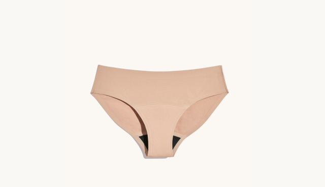 Knix Super Leakproof Bikini - Period and Incontinence Underwear