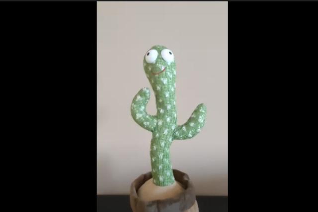 MIAODAM Cactus Qui Danse et Répète, Cactus Qui Parle Jouet Cactus