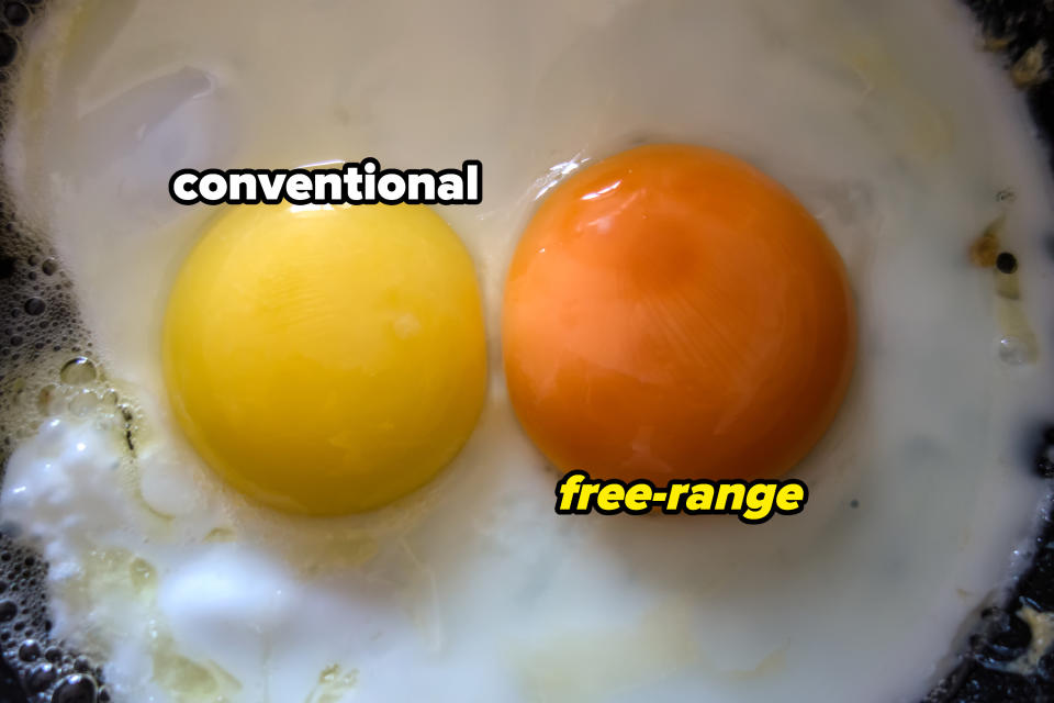 conventional egg yolk vs a free-range one that's much more orange