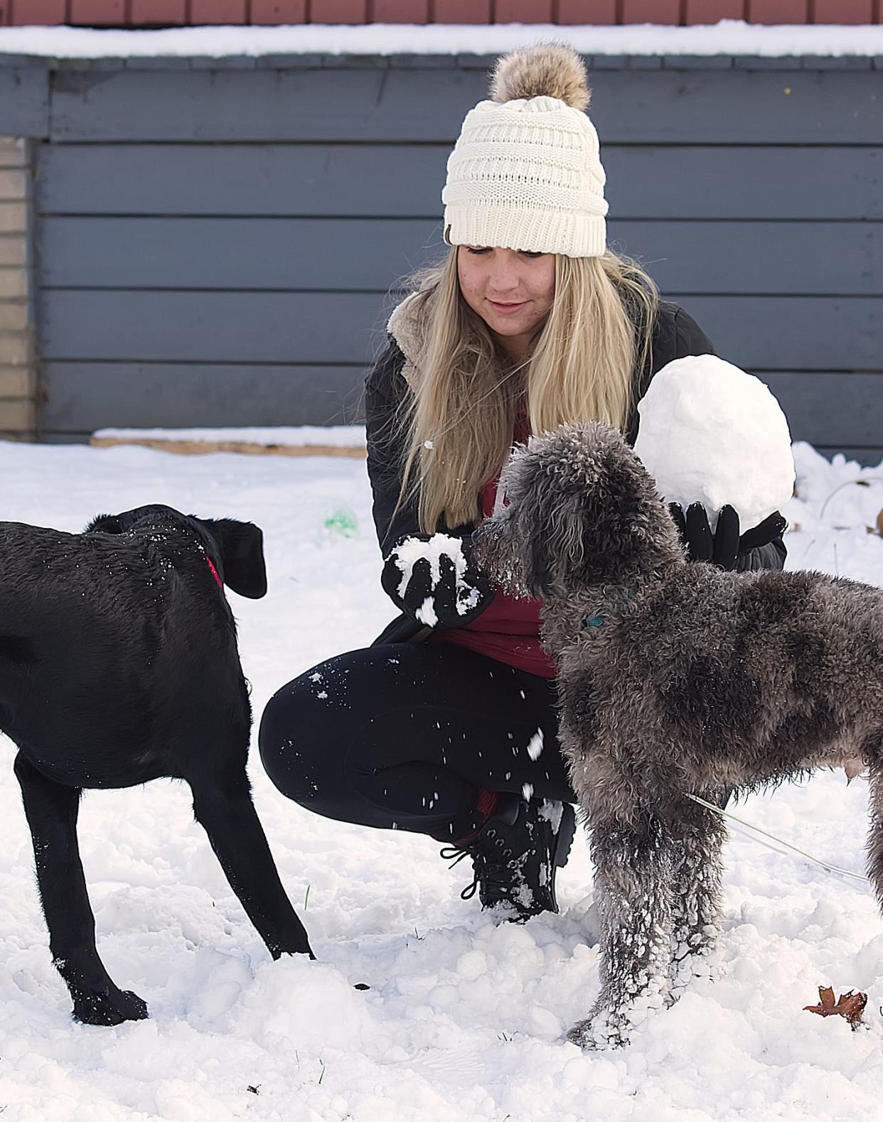 Kent State University student Bri Czoper offers a snowball to Tate, left, and Kodak.