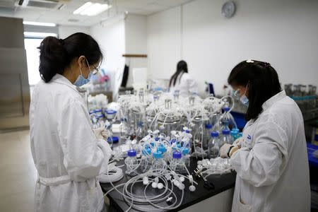 Researchers work at a laboratory of WuXi AppTec (Shanghai) Co., Ltd. in Shanghai, China, April 25, 2016. REUTERS/Aly Song