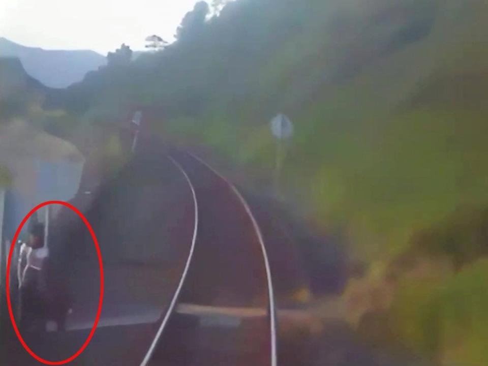 The moment a train missed a dog walker crossing the tracks. (swns)