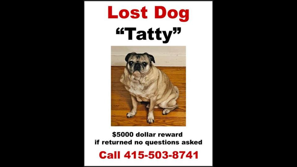 A poster signals the alert to find the missing Tatty, a fixture in midtown Sacramento.