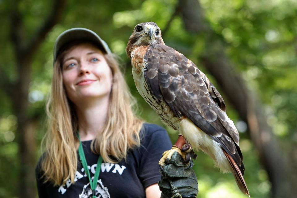 Teatown nature preserve and environmental education center.