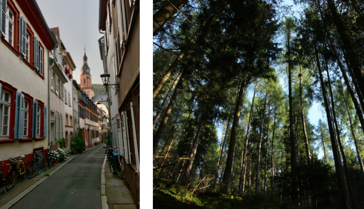 Vor meinem Trip war ich noch nie in Heidelberg oder dem Thüringer Wald gewesen.