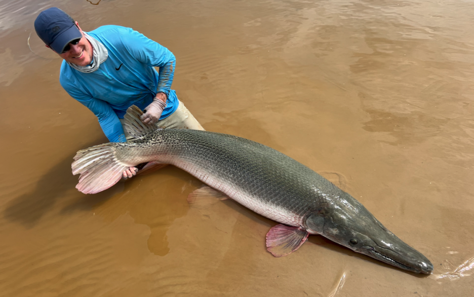 The 188-pound alligator gar would shatter the previous world record in the 4-pound line class.