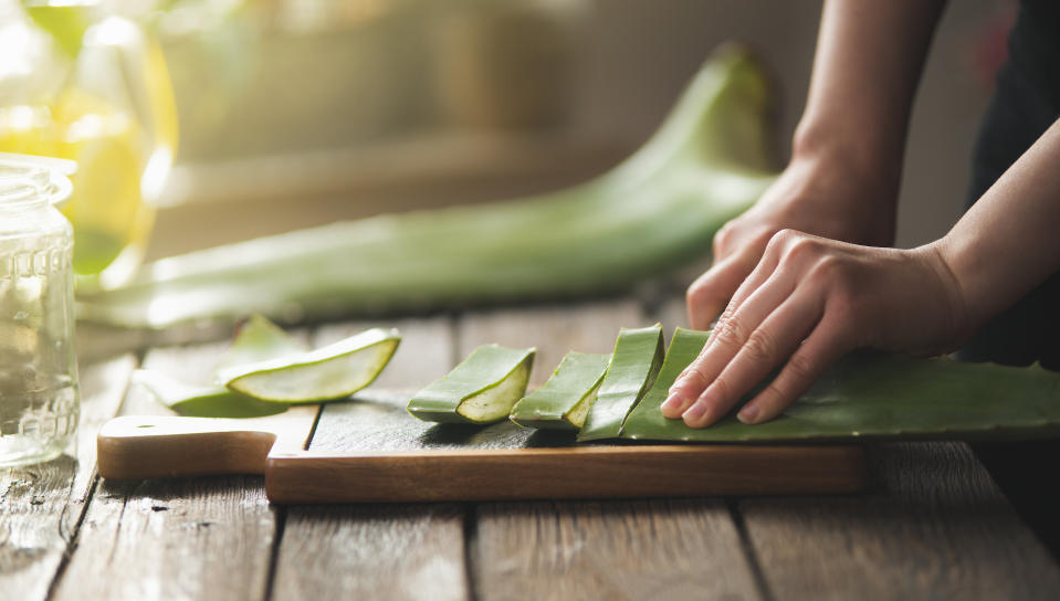 person slicing aloe vera