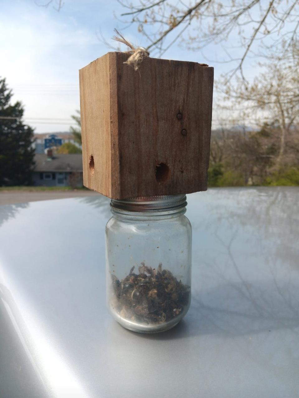 Carpenter bee traps are the big sellers for Creekside Crafts.