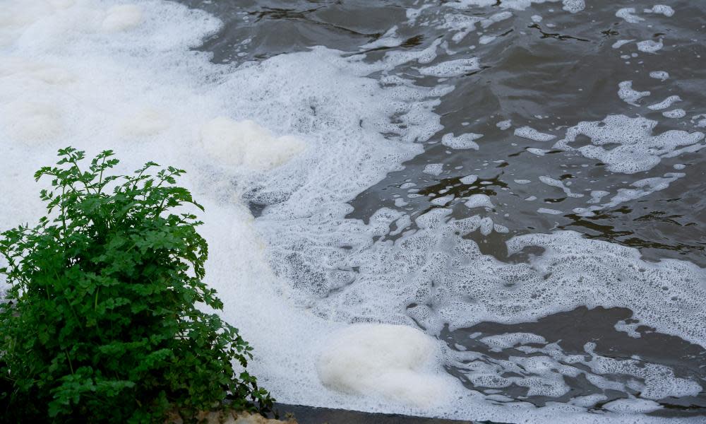 <span>Photograph: Maureen McLean/Rex/Shutterstock</span>