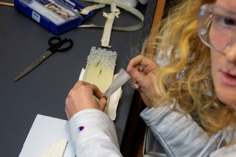 A research assistant grinds up a slice of a coral core recovered during a research trip in American Samoa in 2011 by Braddock Linsley inside of the Lamont-Doherty Earth Observatory of Columbia University in Palisades, New York