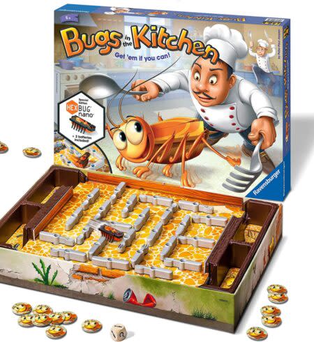 Bugs in the Kitchen