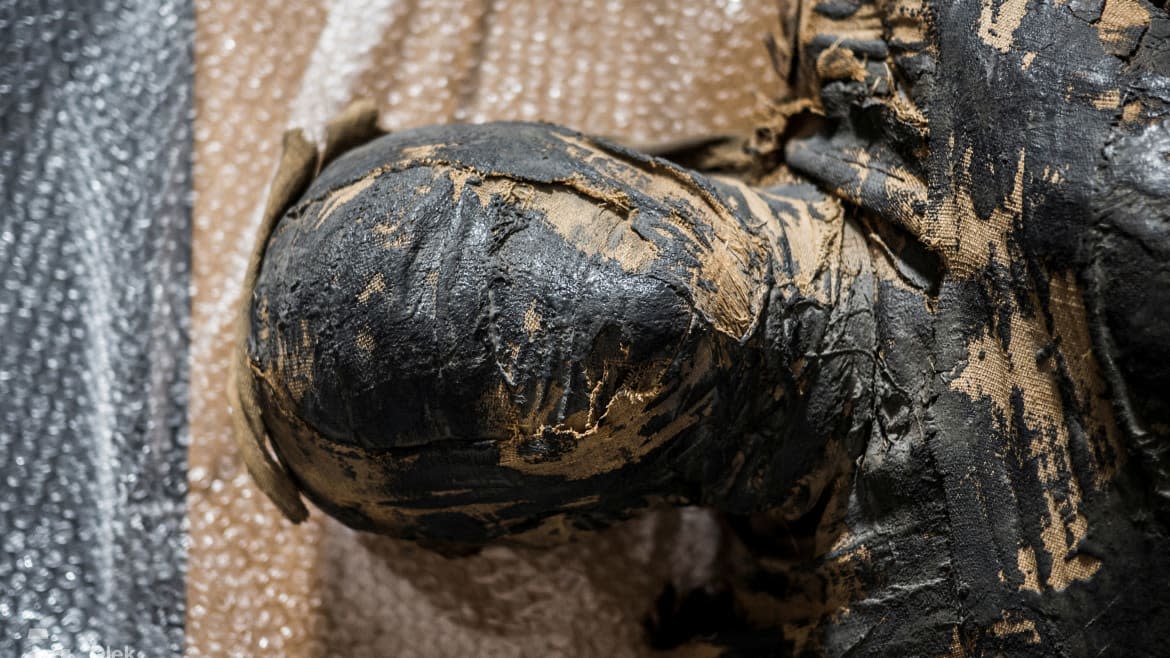 WARSAW MUMMY PROJECT