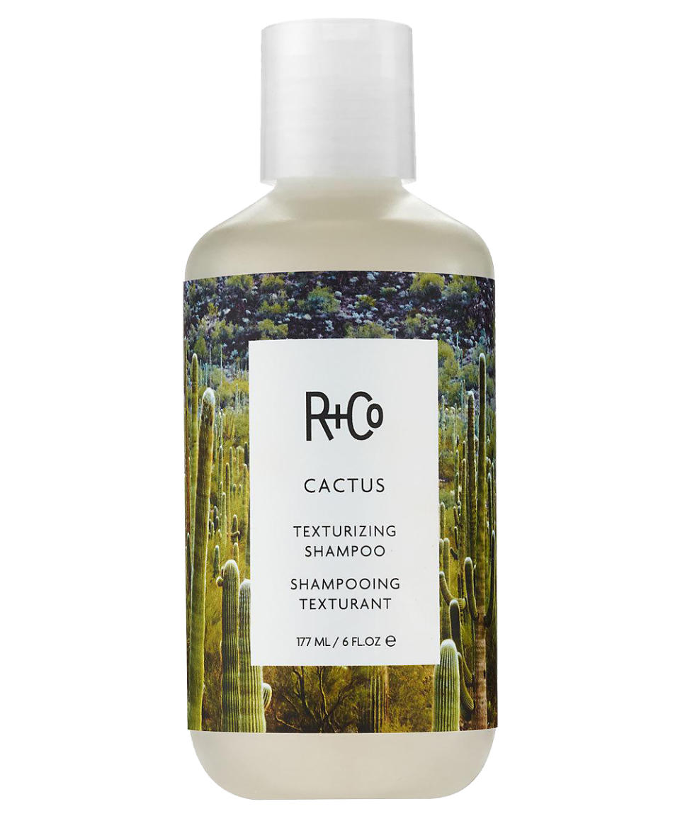 R + Co Cactus Texturizing Shampoo