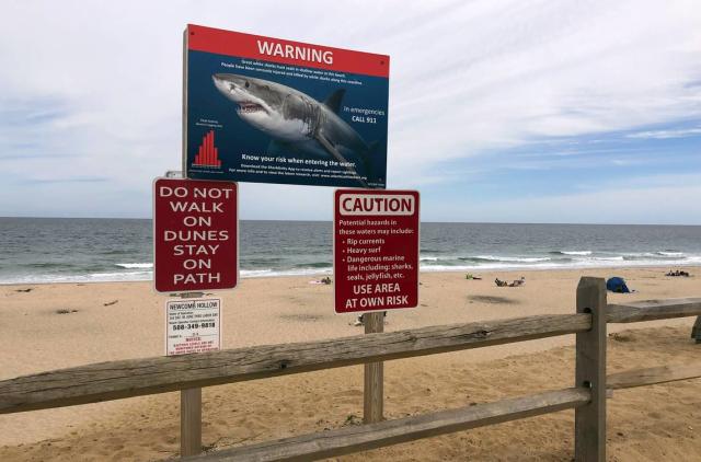 Myrtle Beach visitor says shark bite happened in waist-deep water, needed  'hundreds of stitches