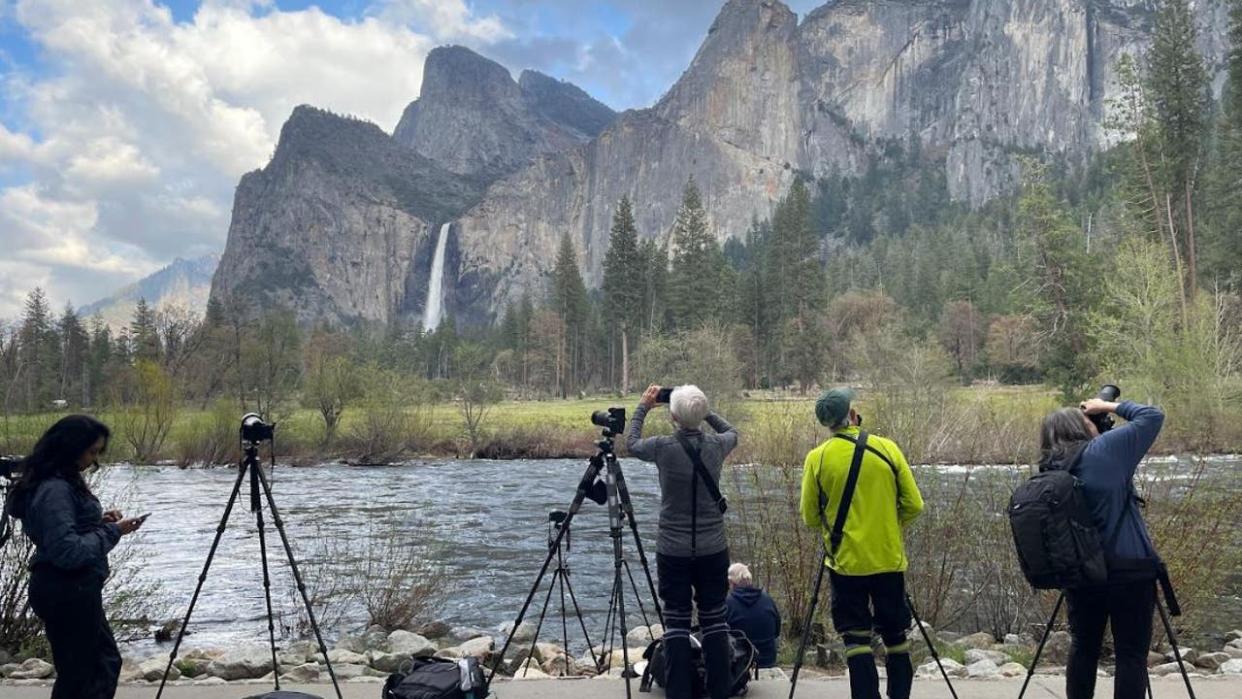 <strong>(Yosemite Conservancy)</strong>