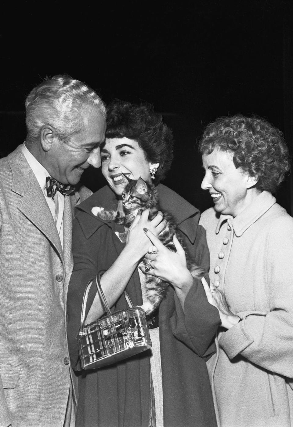 <p>Upon returning home from her six-month stay in London, Elizabeth Taylor met her parents at the airport to reveal her new tiny kitten, Tailspin. However, the actress's new pet wasn't the only new addition to her household: Elizabeth <a href="https://economictimes.indiatimes.com/magazines/panache/the-many-marriages-of-elizabeth-taylor-everything-you-wanted-to-know-about-her-seven-husbands/variety-is-the-spouse-of-life/slideshow/60070468.cms" rel="nofollow noopener" target="_blank" data-ylk="slk:married her second husband;elm:context_link;itc:0;sec:content-canvas" class="link ">married her second husband</a>, Michael Wilding, in London in February, 1952. </p>