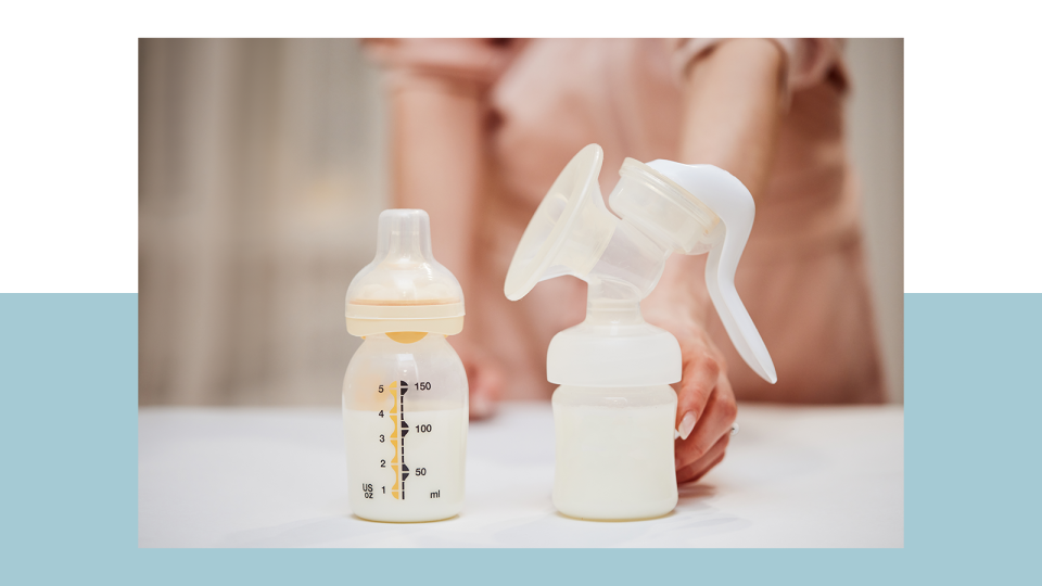 Although a manual hand pump may take a bit longer to express your milk, they're a good back-up to keep on hand.