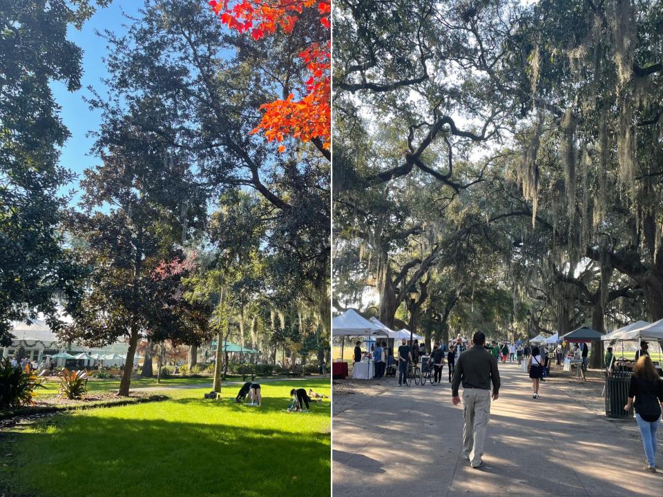 savannah forsyth park