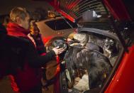 Stray dogs brought out of Sochi by activist Yulia Krasova, second from left, wait to be transferred to the car of fellow activist Igor Airapetian, left, at a rendezvous point 120 kilometers away from the Olympic area in the early morning hours of Tuesday, Feb. 11, 2014, in Tuapse, Russia. Krasova is one of a dozen people in the emerging movement of animal activists in Sochi alarmed by reports that the city has contracted the killing of thousands of stray dogs before and during the Olympic Games. Stray dogs are a common sight on the streets of Russian cities, but with massive construction in the area the street dog population in Sochi and the Olympic park has soared. Useful as noisy, guard dogs, workers feed them to keep them nearby and protect buildings. They soon lose their value and become strays. Tonight, a few dogs will be taken on their way to a new life in Moscow. (AP Photo/David Goldman)