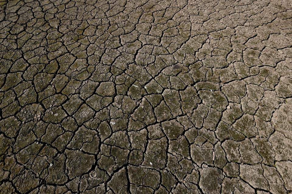 Cracks can be seen on dried up bed of Tittesworth Reservoir, in Leek, Britain, August 12, 2022.  REUTERS/Carl Recine