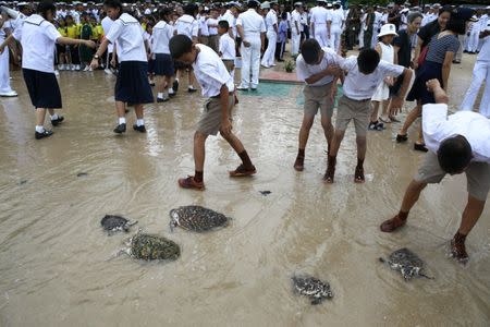 Well-wishers release sea turtles at the Sea Turtle Conservation Center as part of the celebrations for the upcoming 65th birthday of Thai King Maha Vajiralongkorn Bodindradebayavarangkun, in Sattahip district, Chonburi province, Thailand, July 26, 2017. REUTERS/Athit Perawongmetha