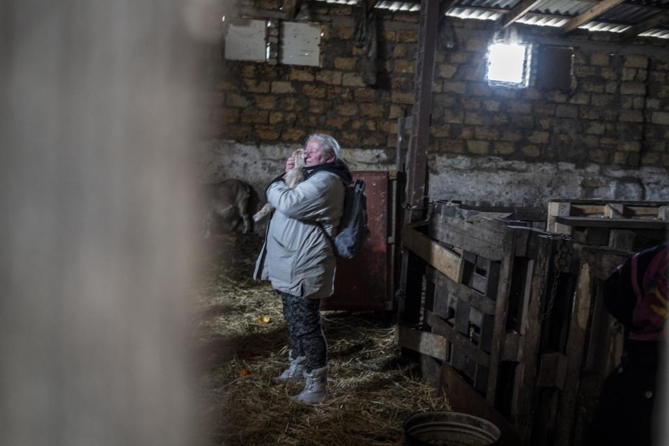 A shelter volunteer gives a baby goat a hug. 