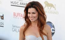 <p>No. 9: Shania Twain <br> Earnings: $27.5 million <br> (Photo by David Becker/Getty Images) </p>