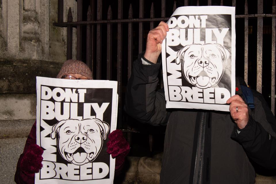 London, UK. 27th November, 2023. Protesters were outside Parliament tonight as a debate was taking place in Parliament following a petition signed by 606,608 people calling on the Government not to ban the XL Bully. From 1 February 2024 it will be a criminal offence to own an XL Bully in England and Wales unless the owner has a Certificate of Exemption for the dog. This new law has been implemented by the Government following a number of people being killed or badly injured by attacks from XL Bully Dogs. It has been reported that at least 246 XL Bully dogs will be euthanised when the ban comes