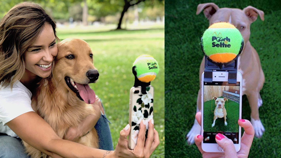 Best gifts under $10: Pooch Selfie