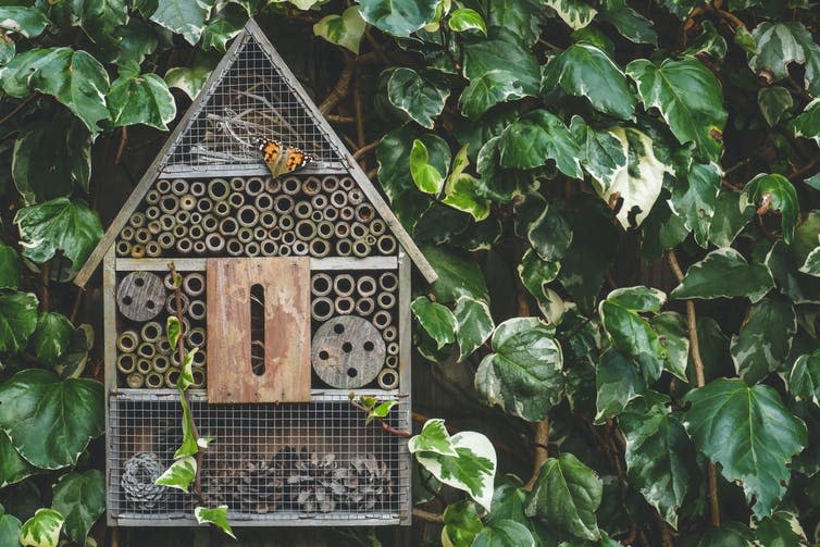 An insect hotel in garden with a butterfly on it