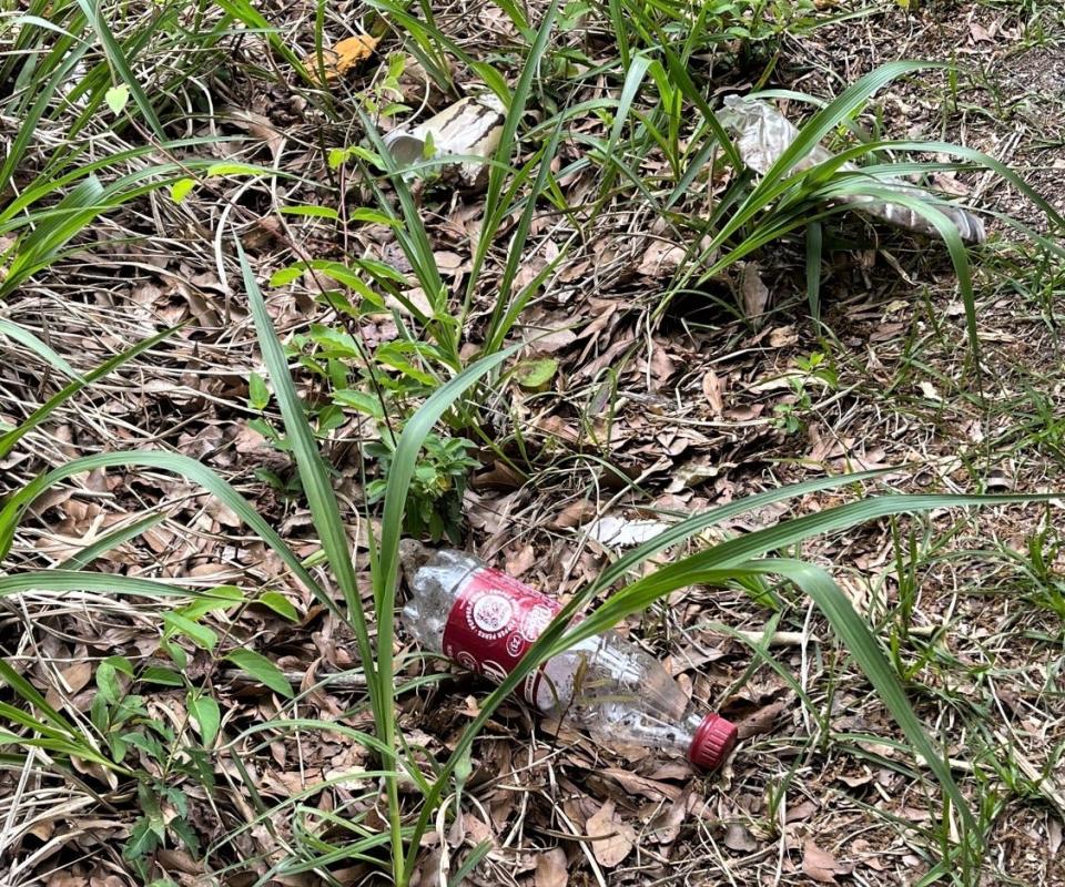 Roadside litter along Harmon Drive.