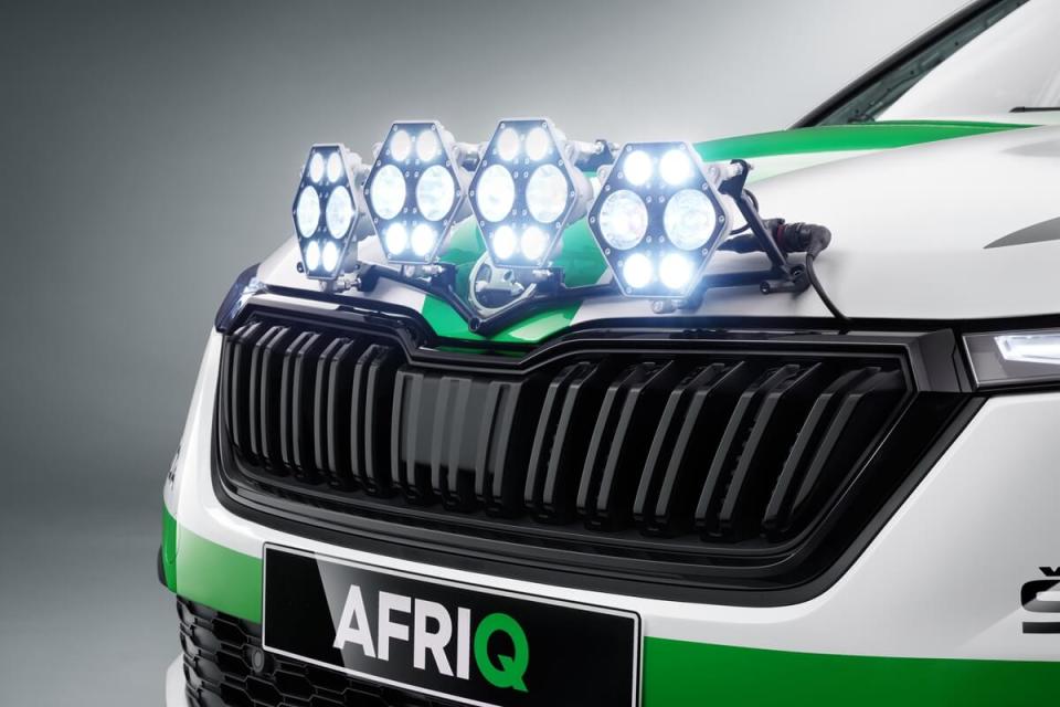 skoda_afriq_06.jpg