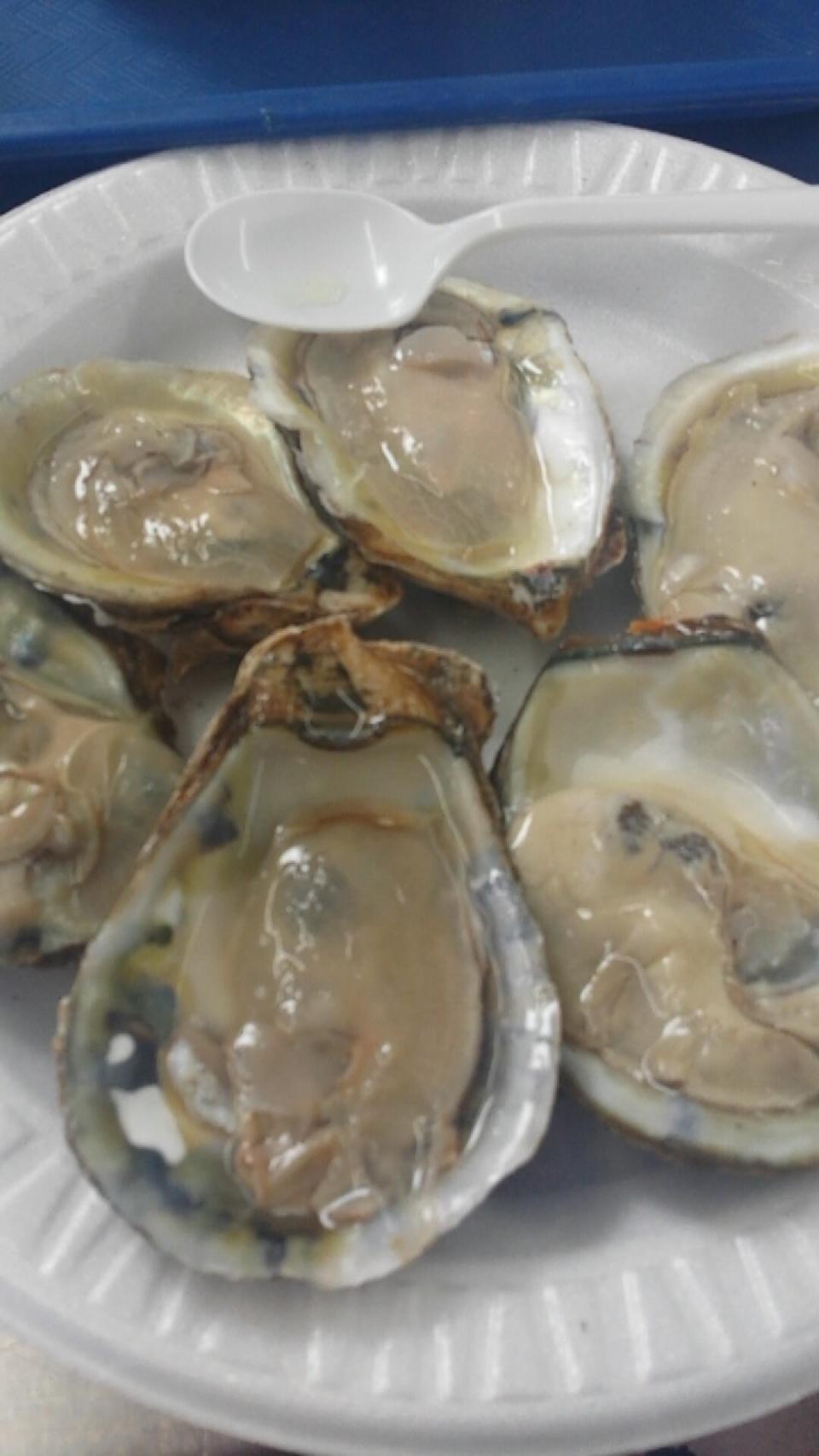 Six raw, shucked oysters are arranged on a white plastic plate with a small plastic spoon beside them