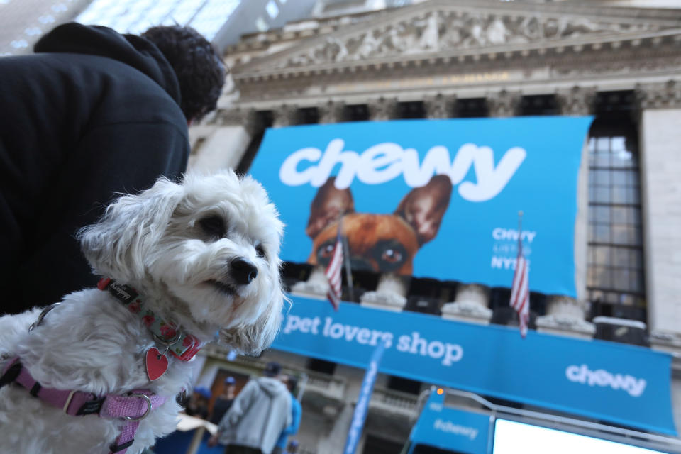 Ellie the Havanese dog is seen outside the New York Stock Exchange (NYSE) ahead of the IPO for Chewy Inc. in New York City, U.S., June 14, 2019. REUTERS/Andrew Kelly