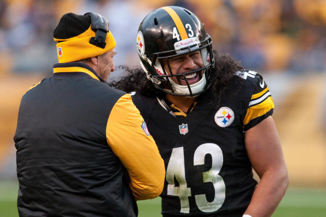 Troy Polamalu  Pittsburgh Steelers 