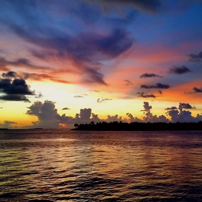 <p><strong>Quand voir le plus beau coucher de soleil à Key West ?</strong> En hiver.</p>