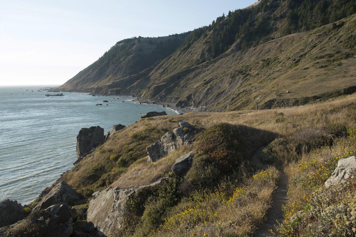 The Lost Coast Trail