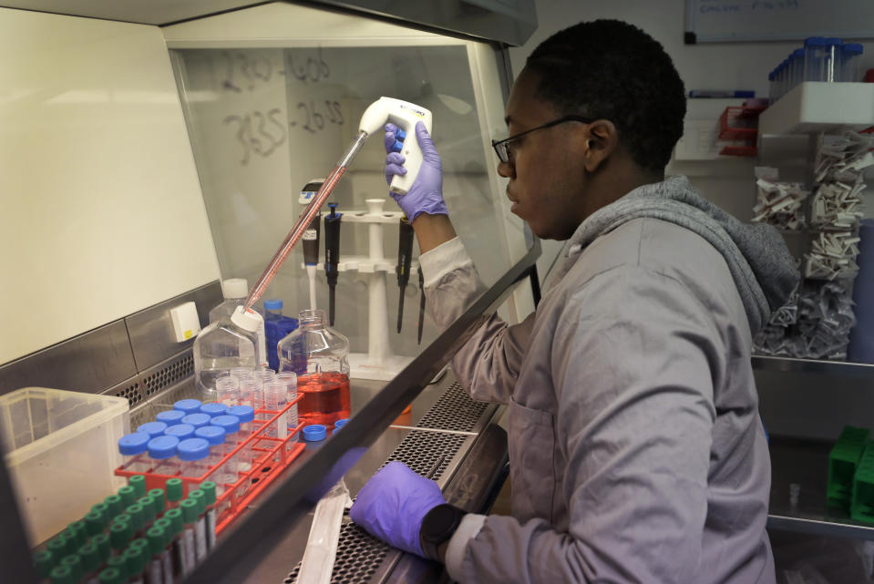 FILE - In this July 30, 2020, file photo, Leon McFarlane a research technician works with blood samples from volunteers in the laboratory at Imperial College in London while working on developing a COVID-19 vaccine. Many world leaders at this week's virtual U.N. summit hope it will be a vaccine made available and affordable to all countries, rich and poor. But with the U.S., China and Russia opting out of a collaborative effort to develop and distribute a vaccine, and some rich nations striking deals with pharmaceutical companies to secure millions of potential doses, the U.N. pleas are plentiful but likely in vain. (AP Photo/Kirsty Wigglesworth, File)