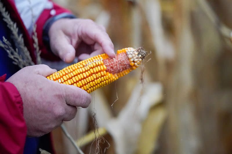 Jeff Gormong holds an ear of corn on his farm near Terre Haute