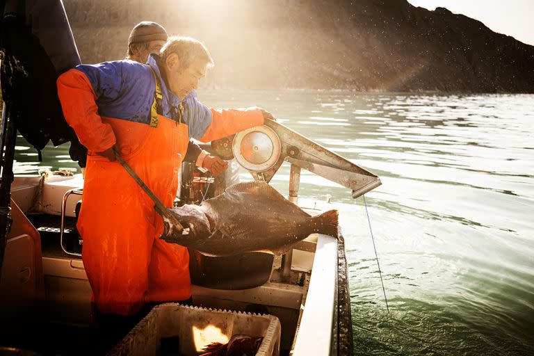 La pesca es hoy la principal fuente de ingresos de Groenlandia, sin contar el subsidio desde Dinamarca