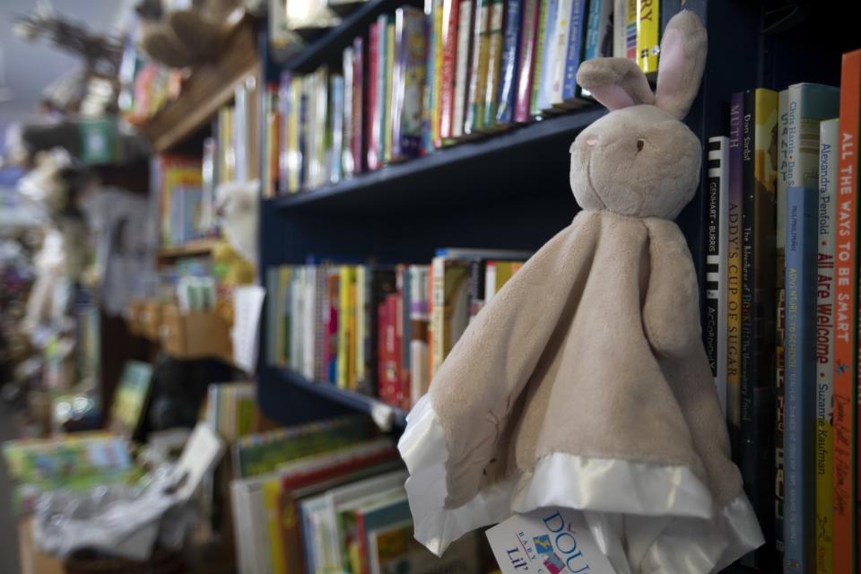 Books and toys on shelves at Once Upon a Time bookstore.