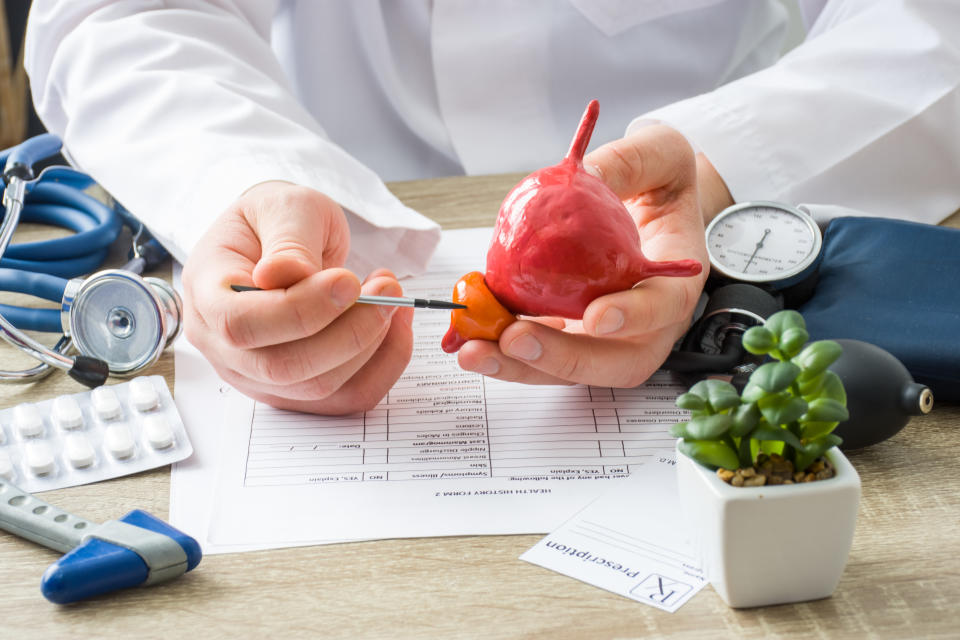 At doctors appointment physician shows to patient shape of prostate gland with focus on hand with organ. Scene explaining patient causes and localization of diseases of prostate, problems and signs