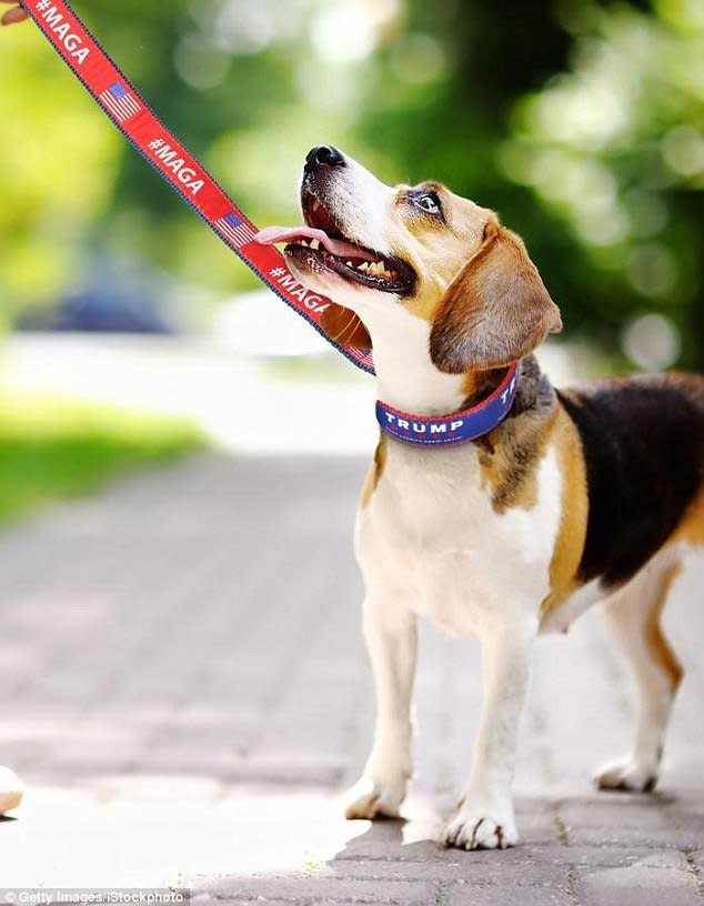 A MAGA dog leash. (Photo: Shop Donald Trump)