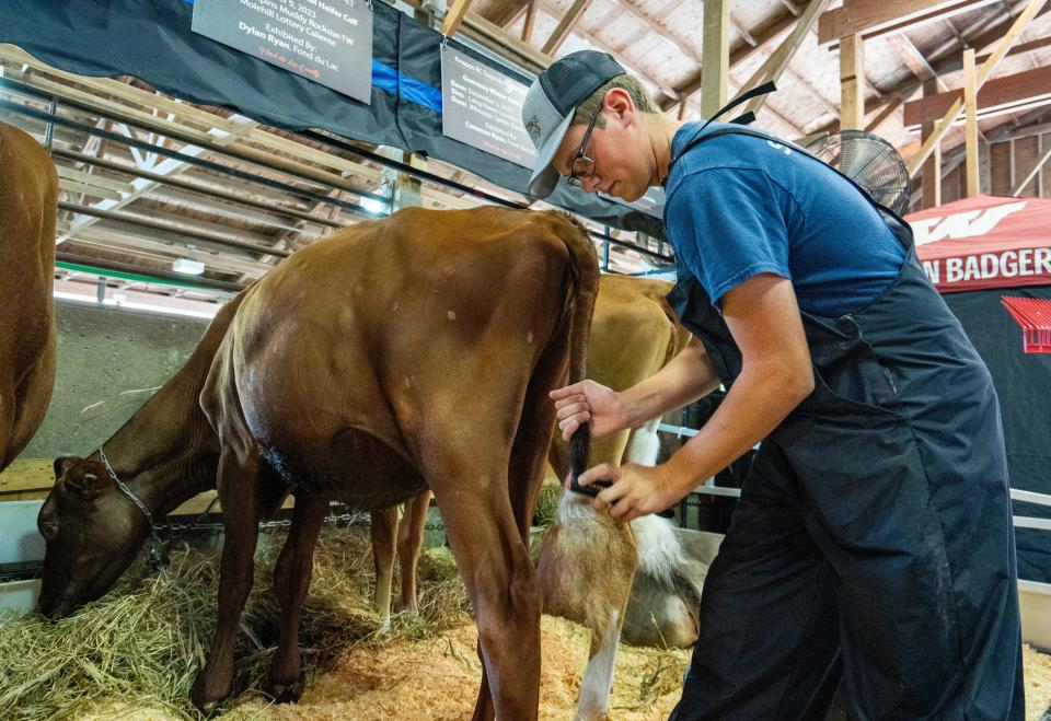 From washing cows to flavoring cream puffs, Wisconsin State Fair is